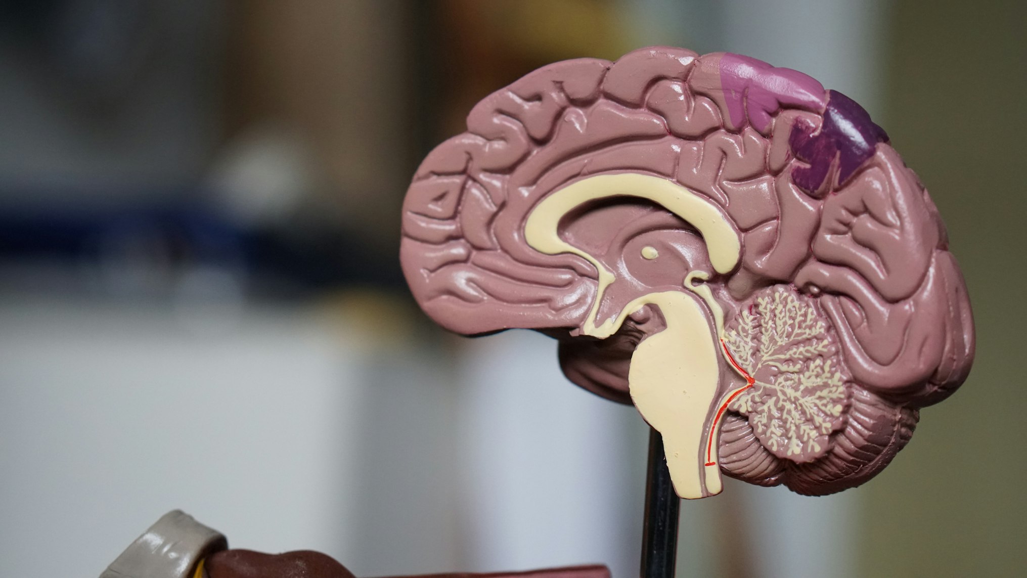 整骨院で治療を受ける患者の様子